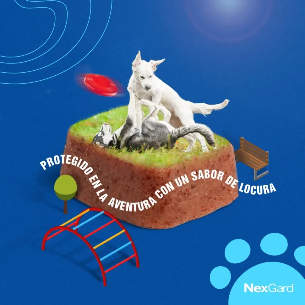 nexgard2
