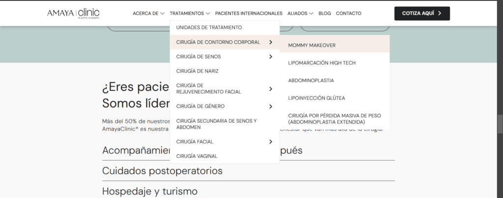 felipe amaya sitio web cirujano y procedimientos plasticos